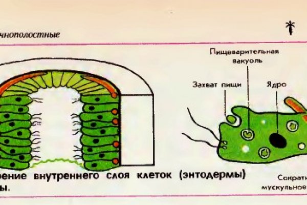 Кракен оф сайт kr2web in